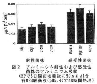 図2 アルミニウム耐性および感受性菌株のアルミニウム吸収