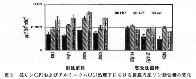 図3 低リン(LP)およびアルミニウム(Al)処理下における細胞内正リン酸含量の変化