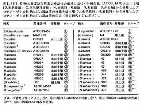 表1 16S rDNAの推定制限酵素切断部位の相違に基づく対照菌株(ATCC、IAM)と水田土壌(O,堆肥連用;C,化学肥料連用;N,無肥料;R,根圏;N,非根圏;S,非根域)から分離したプロテアーゼ生産性Bacillus属細菌の分類と畑土壌(U,化学肥料;N,無肥料)から分離したプロテアーゼ生産性Bacillus属細菌の同定(推定種名を()に示す)。