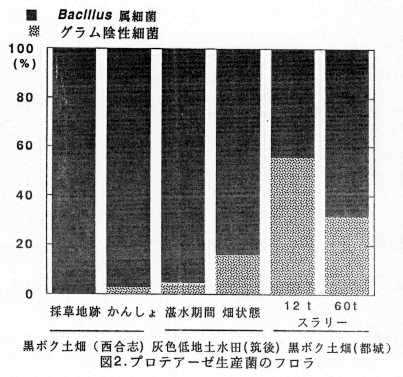 図2 プロテアーゼ生産菌のフロラ