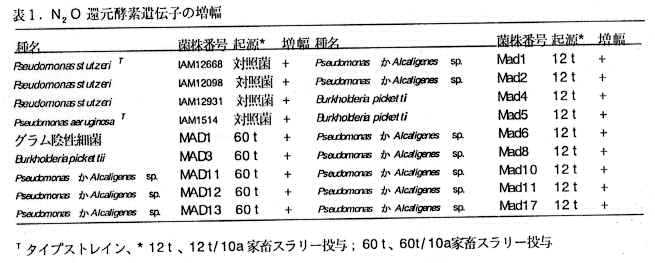 表1 N2O還元酵素遺伝子の増幅