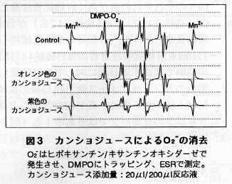 図3 カンショジュースによるO2-の消去