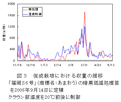 図3 促成栽培における収量の推移