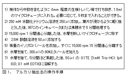 図1.アルカリ抽出法の操作手順