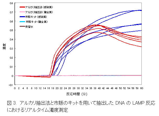 図3.アルカリ抽出法と市販のキットを用いて抽出したDNAのLAMP反応におけるリアルタイム濁度測定