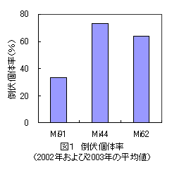 図1 倒伏個体率