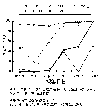 図1.水田に生息する幼貝を様々な低温条件にさらしたときの生存率の季節変化