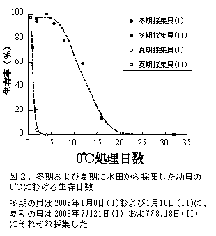 図2.冬期および夏期に水田から採集した幼貝の0℃における生存日数