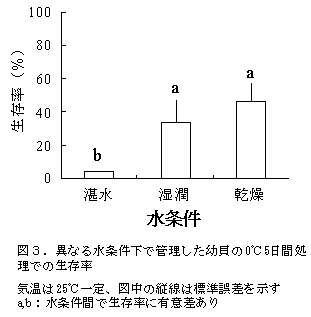 図3.異なる水条件下で管理した幼貝の0℃5日間処理での生存率