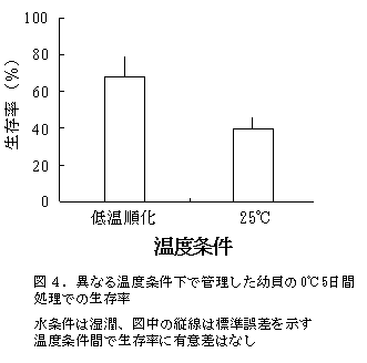 図4.異なる温度条件下で管理した幼貝の0℃5日間処理での生存率