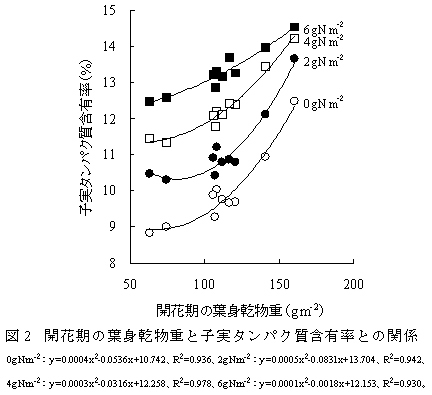 図2.開花期の葉身乾物重と子実タンパク質含有率との関係