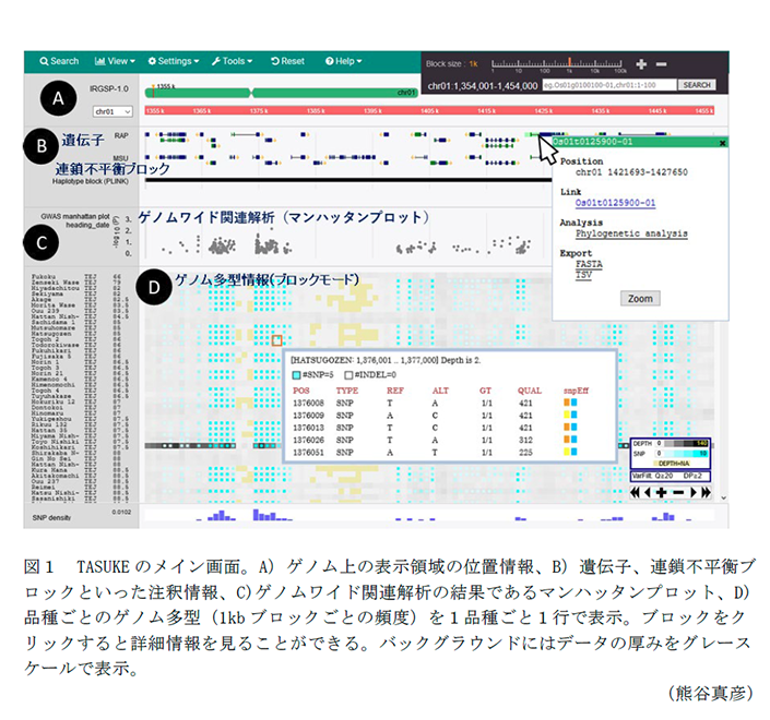 図1 TASUKEのメイン画面