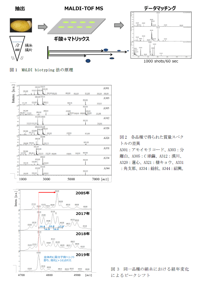 図1 MALDI biotyping法の原理,図2 各品種で得られた質量スペクトルの差異,図3 同一品種の絹糸における経年変化によるピークシフト