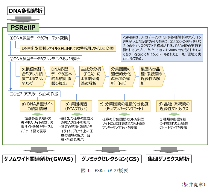 図1 PSReliPの概要