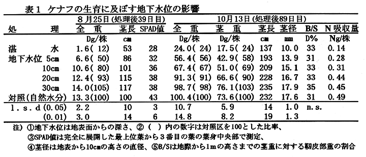 表1:ケナフの生育に及ぼす地下水位の影響