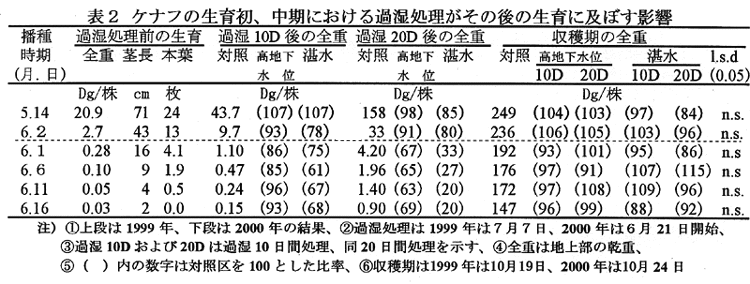 表2:ケナフの生育初期、中期における過湿処理がその後の生育に及ぼす影響