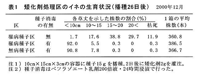 表1:矮化剤処理区のイネの生育状況(播種26日後)