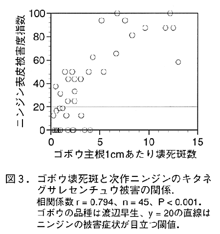 図3:ゴボウ壊死斑と次作ニンジンのキタネグサレセンチュウ被害の関係(相関係数r=0.794、n=45、P&st;0.001。ゴボウの品種は渡辺早生、y=20の直線はニンジンの被害症状が目立つ閾値。)