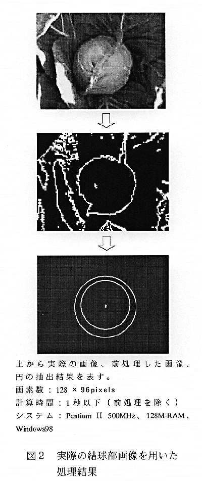 図2:実際の結球部画像を用いた処理結果
