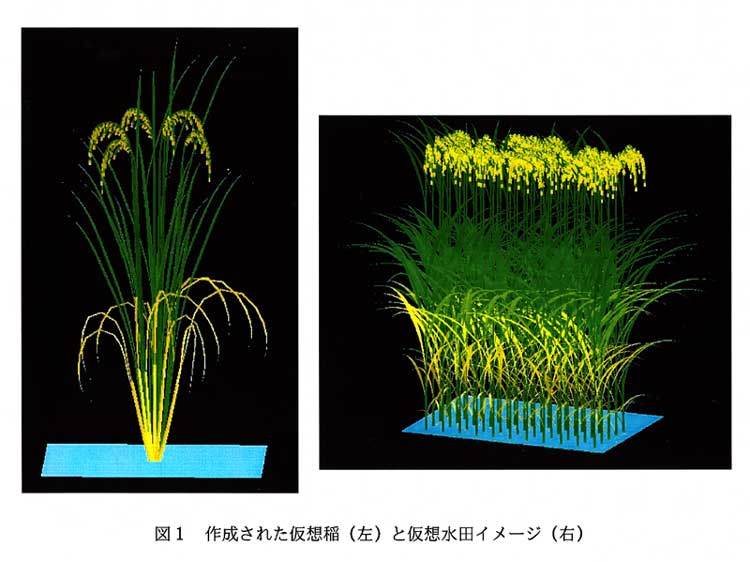 図1:作成された仮想稲(左)と仮想水田イメージ(右)その他