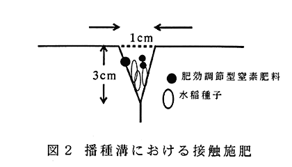 図2:播種溝における接触施肥