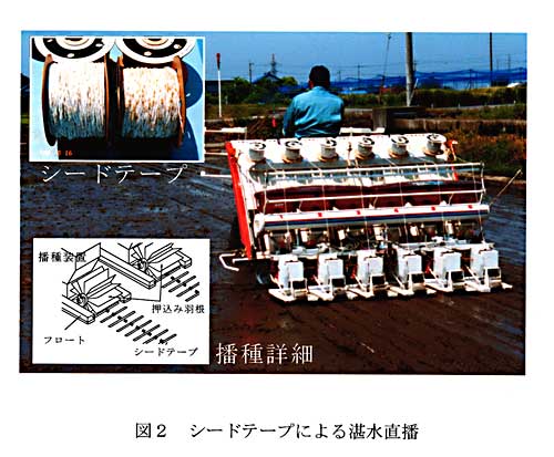 図2:シードテープによる湛水直播