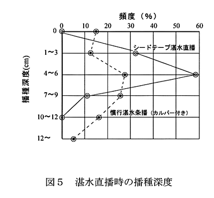 図5:湛水直播時の播種深度