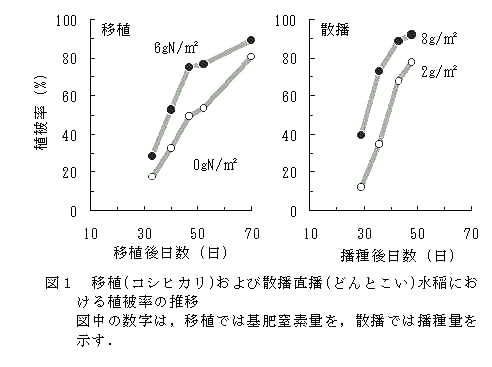 図1.移植(コシヒカリ)および作播直播(どんとこい)水稲における植被率の推移