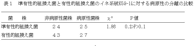 表1.準有性的組換え菌と有性的組換え菌のイネ系統K59-1に対する病原性の分離の比較