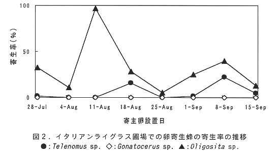 図2.イタリアンライグラス圃場での卵寄生蜂の寄生率の推移