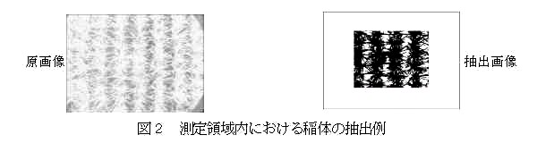 図2.測定領域内における稲体の抽出例