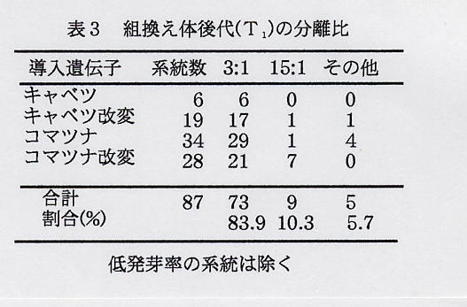 表3.組換え体後代(T1)の分離比