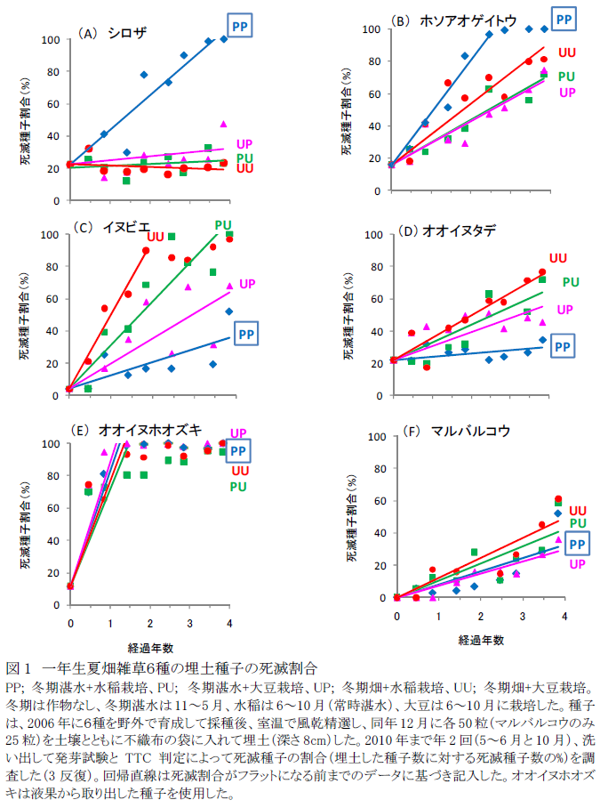 表1.一年生夏畑雑草6種の埋土種子の死滅割合