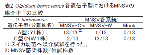 表2.Olpidium bornovanus各遺伝子型におけるMNSVの媒介率の比較