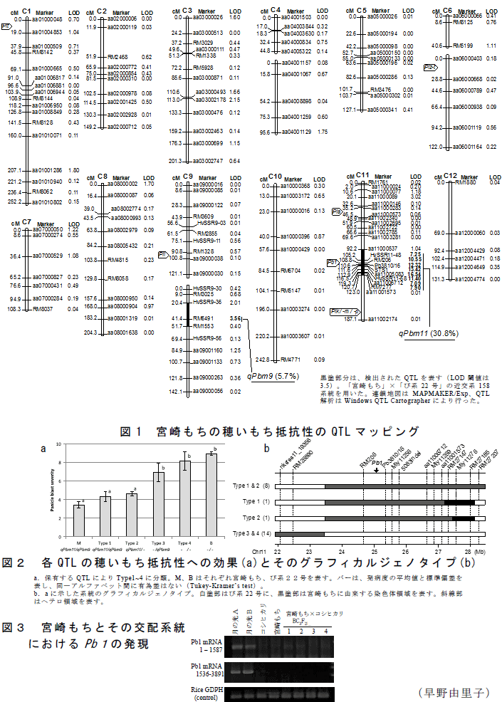 図1～3