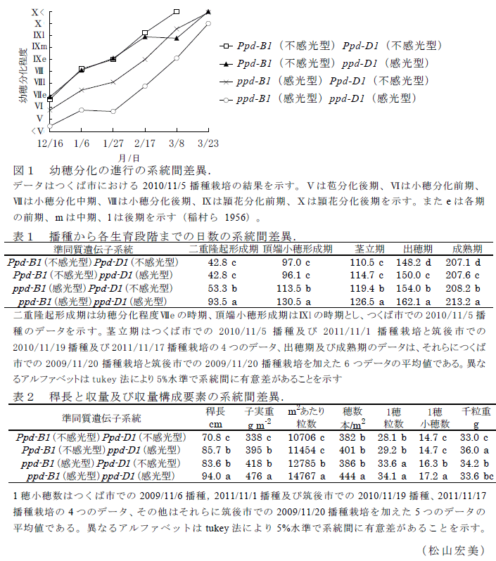 図1,表1～2