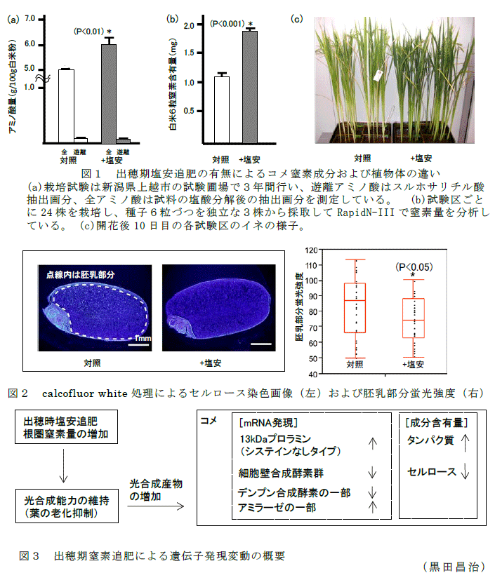 図1～3