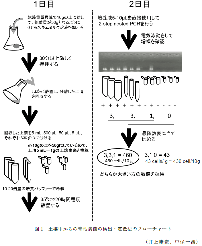 図1