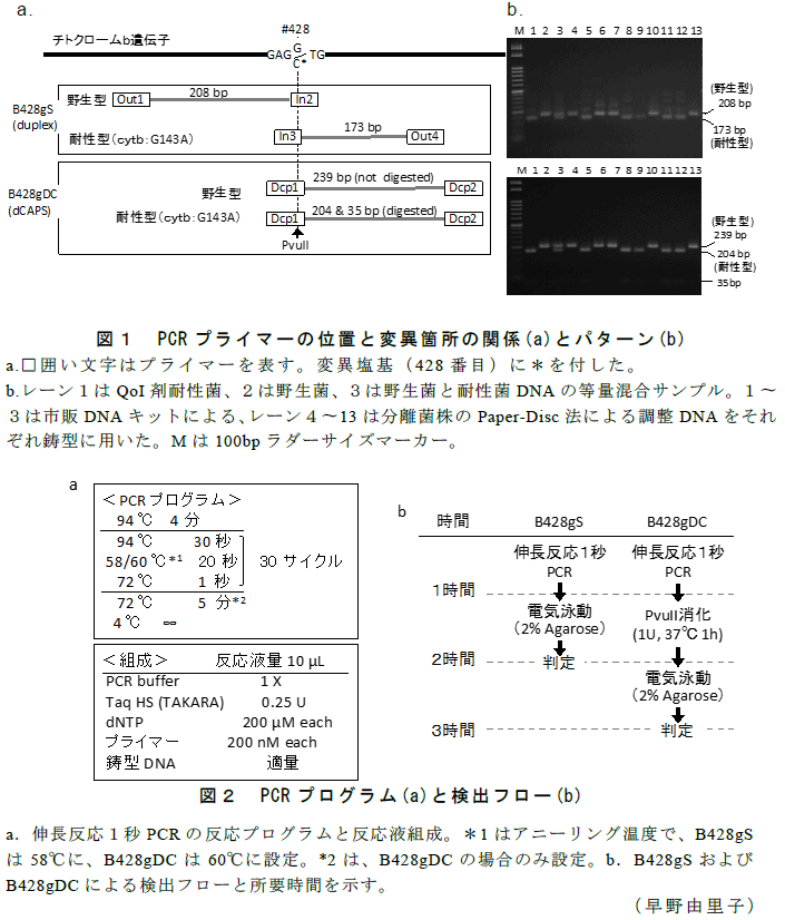 図1～2