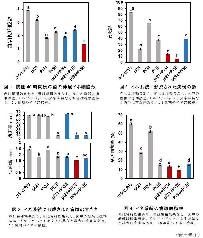 図1～4