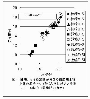 図1.圃場、ケイ酸施肥が異なる穂揃期水稲止葉の灰分とケイ酸