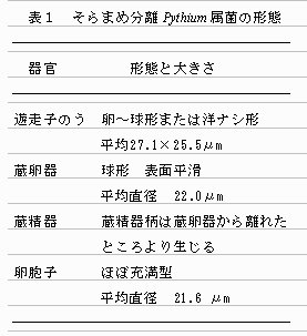 表1.そらまめ分離Pythium属菌の形態