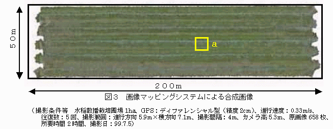 図3.画像マッピングシステムによる合成画像