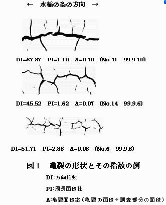 図1.亀裂の形状とその指数の例