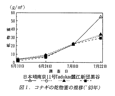 図1 コナギの乾物重の推移