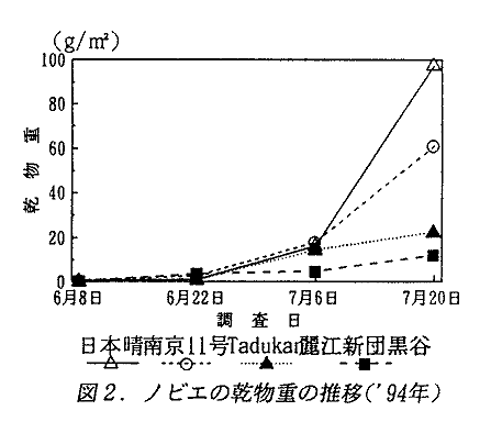 図2 ノビエの乾物重の推移