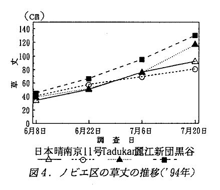 図4 ノビエ区の草丈の推移