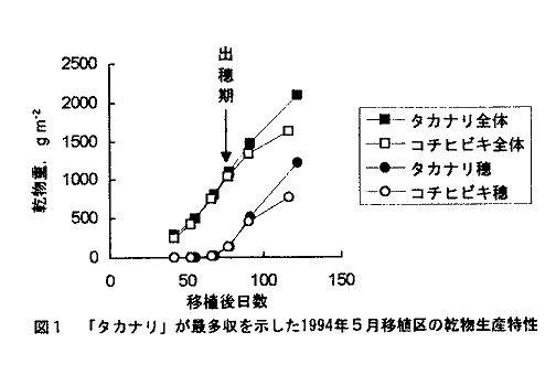 図1 「タカナリ」が最多収を示した1994年5月移植区の乾物生産特性