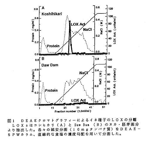 図1 DEAEクロマトグラフィーによるイネ種子のLOXの分離