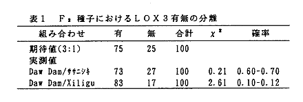 ひょう1 F2種子におけるLOX3有無の分離